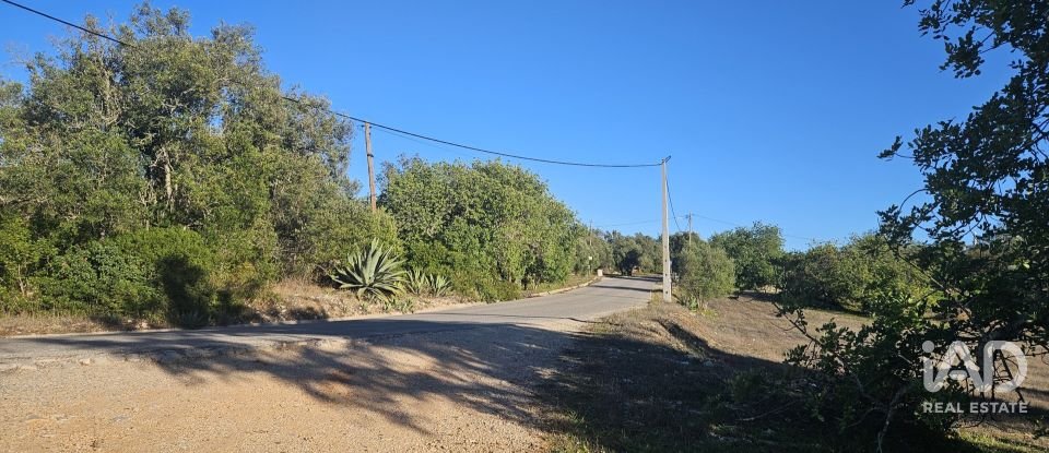 Terrain agricole à Santa Bárbara de Nexe de 14 880 m²