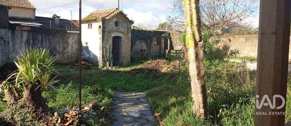 Maison T7 à Cacia de 679 m²