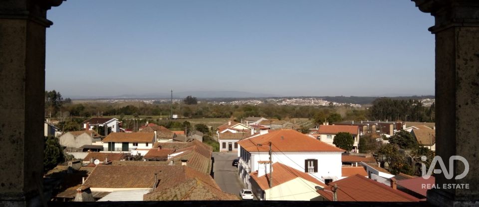 Maison T7 à Cacia de 679 m²