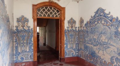 Maison T7 à Cacia de 679 m²