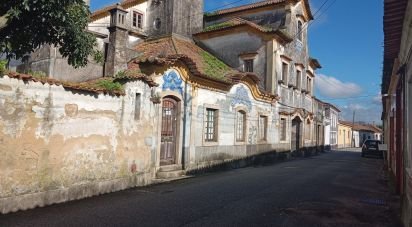 Maison T7 à Cacia de 679 m²