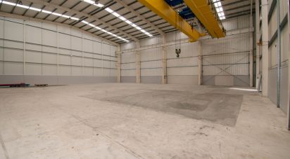 Hangar à Marinha Grande de 957 m²