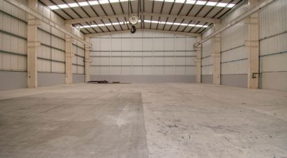 Hangar à Marinha Grande de 957 m²