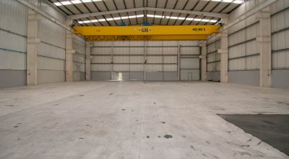 Hangar à Marinha Grande de 957 m²