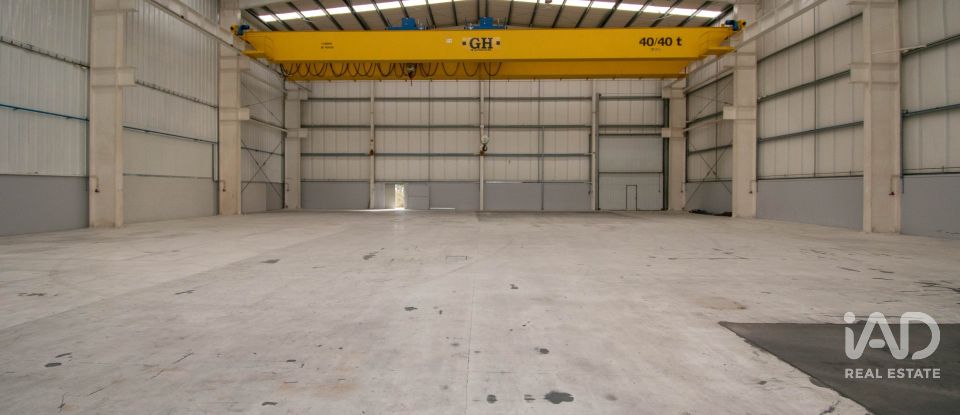 Hangar à Marinha Grande de 957 m²