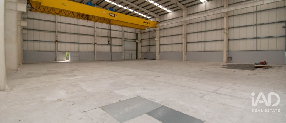 Hangar à Marinha Grande de 957 m²