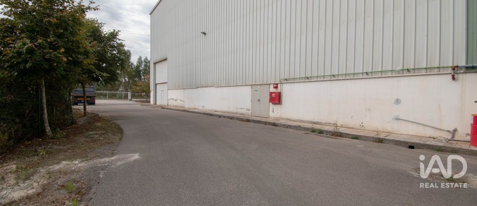 Hangar à Marinha Grande de 957 m²