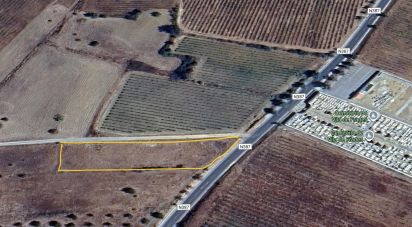 Terrain agricole à Vila de Frades de 2 250 m²