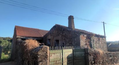 Village house T0 in Quadrazais of 117 m²