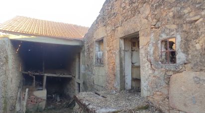 Village house T0 in Quadrazais of 117 m²