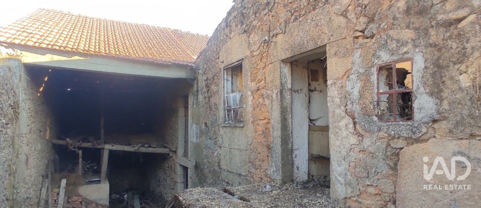 Village house T0 in Quadrazais of 117 m²