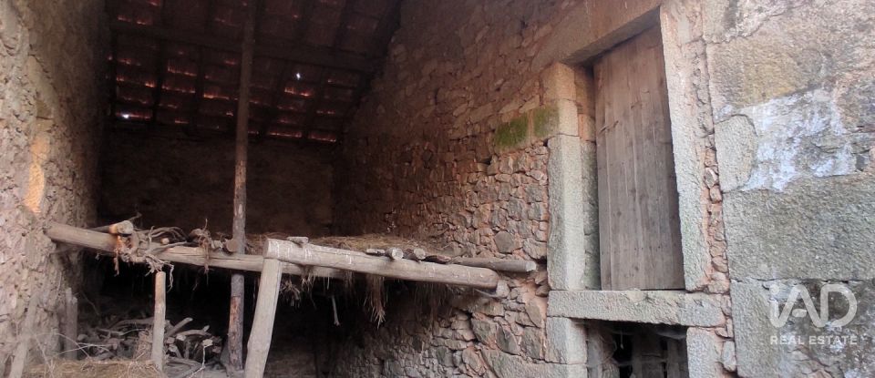 Village house T0 in Quadrazais of 117 m²