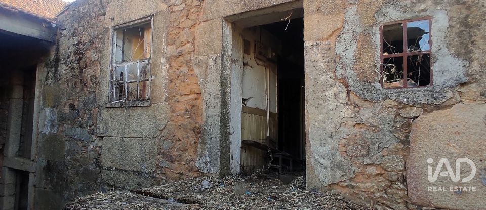 Village house T0 in Quadrazais of 117 m²