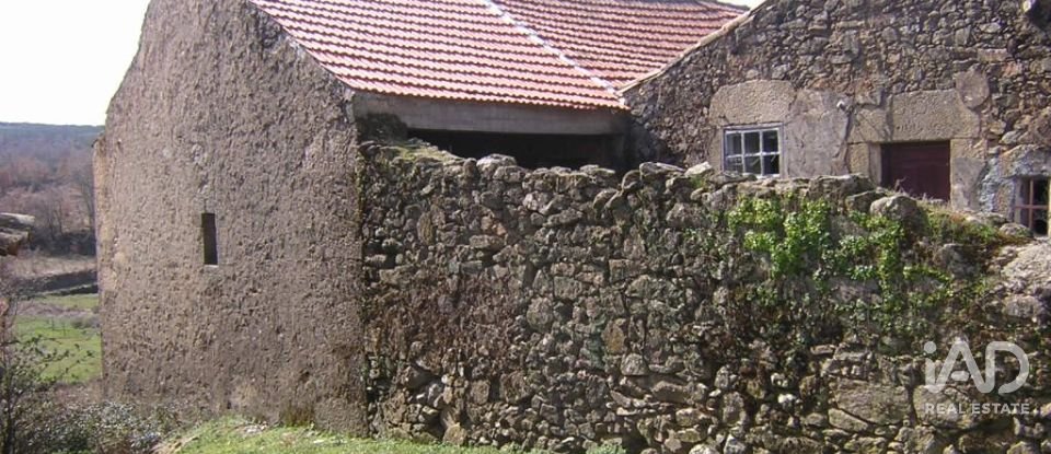 Village house T0 in Quadrazais of 117 m²