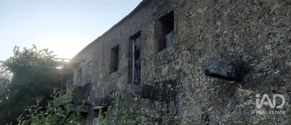 Village house T0 in Quadrazais of 117 m²