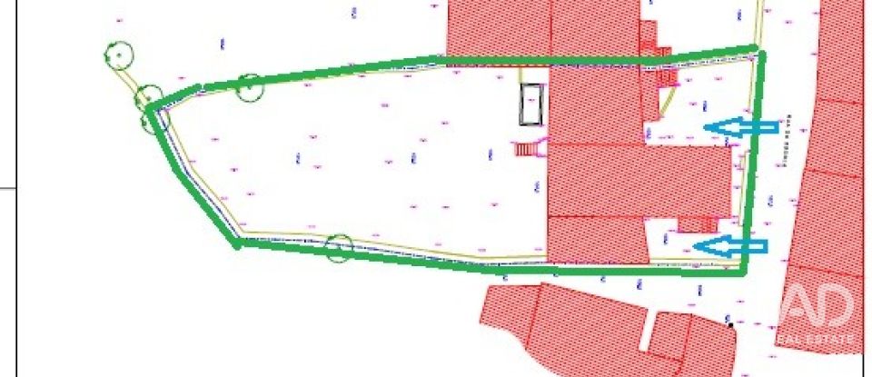 Village house T0 in Quadrazais of 117 m²