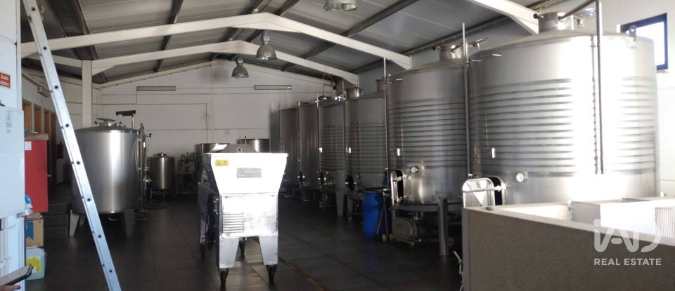 Maison T9 à Figueira de Castelo Rodrigo de 720 m²