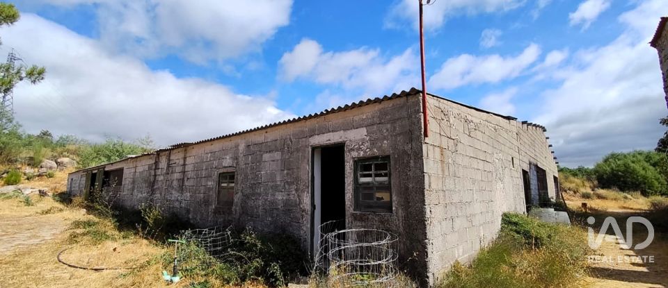 Land in Sortelha of 150,000 m²