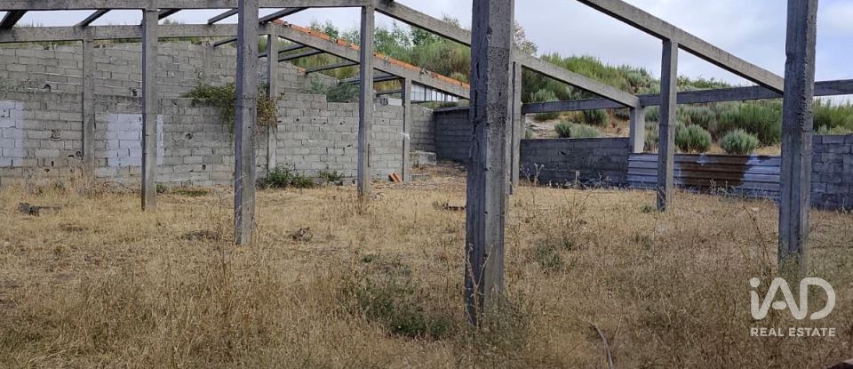 Land in Sortelha of 150,000 m²