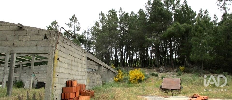 Land in Sortelha of 150,000 m²