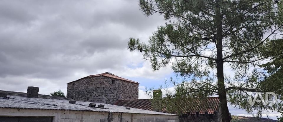 Land in Sortelha of 150,000 m²