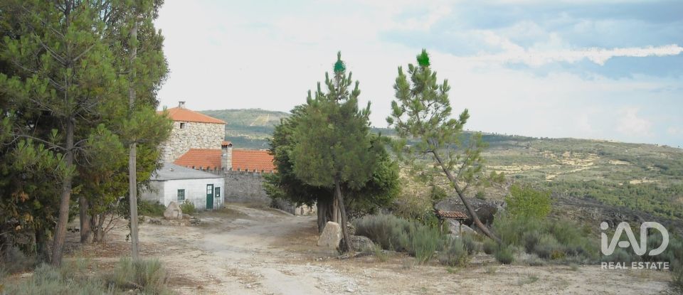 Land in Sortelha of 150,000 m²