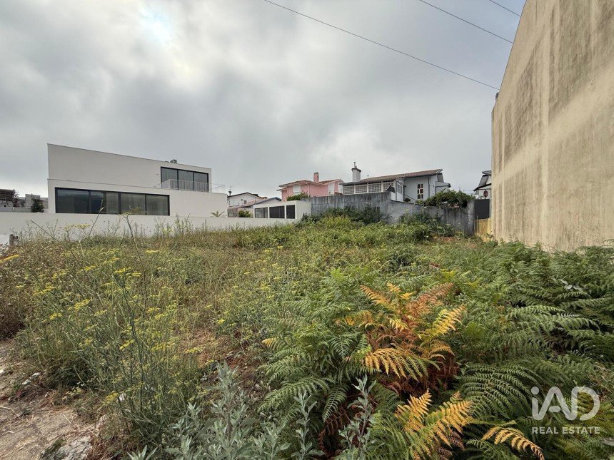 Terrain à Alvarelhos e Guidões de