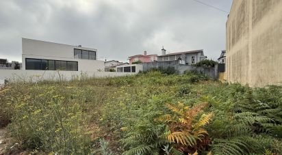 Terrain à Alvarelhos e Guidões de