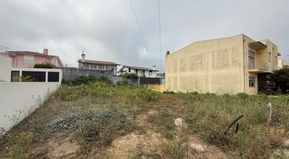 Terrain à Alvarelhos e Guidões de