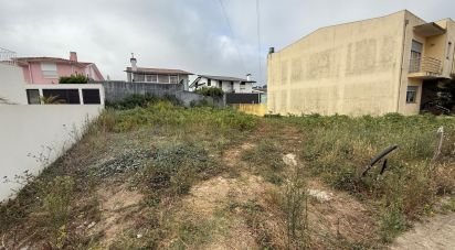 Terrain à Alvarelhos e Guidões de