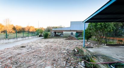 Maison T4 à Eixo e Eirol de 305 m²