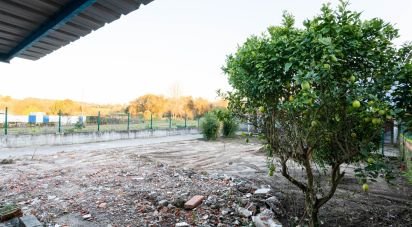 Maison T4 à Eixo e Eirol de 305 m²