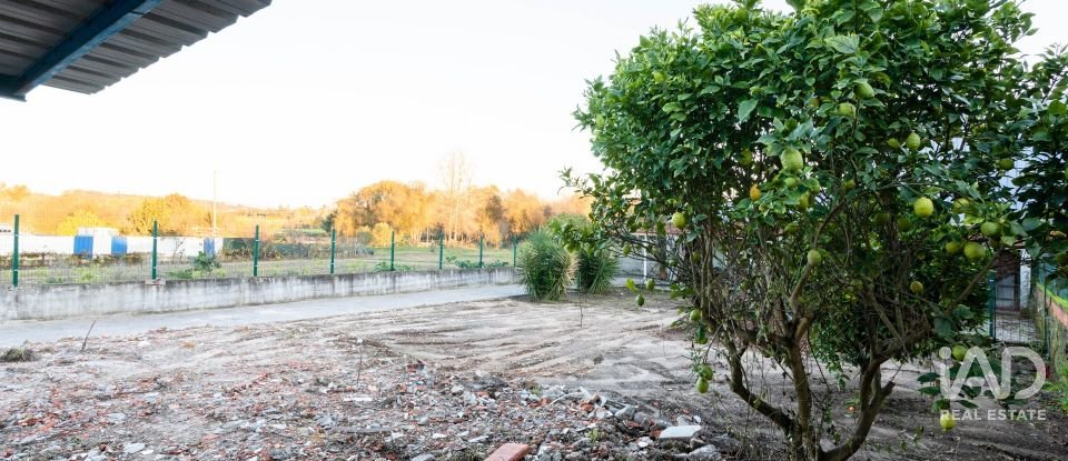 Maison T4 à Eixo e Eirol de 305 m²