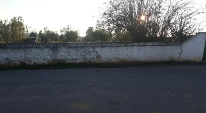 Terrain à bâtir à Vaiamonte de 530 m²