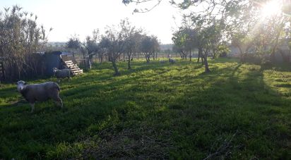 Terrain à bâtir à Vaiamonte de 530 m²