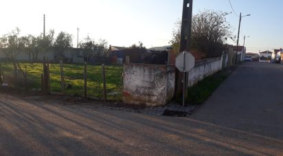 Terrain à bâtir à Vaiamonte de 606 m²