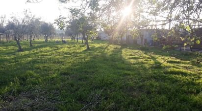 Terrain à bâtir à Vaiamonte de 606 m²