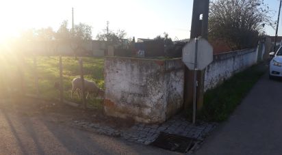 Terrain à bâtir à Vaiamonte de 606 m²