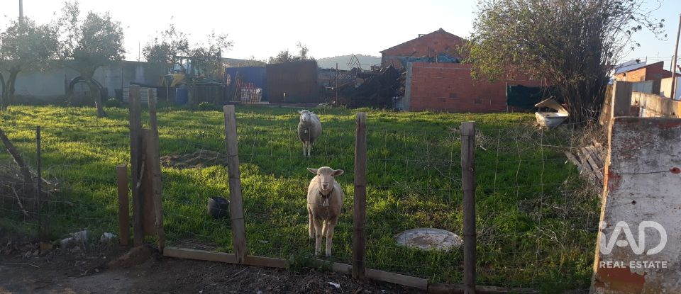 Terrain à bâtir à Vaiamonte de 606 m²