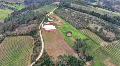 Quinta rurale T0 à Alvorninha de 23 495 m²