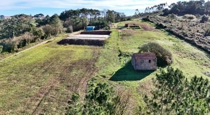 Quinta rurale T0 à Alvorninha de 23 495 m²
