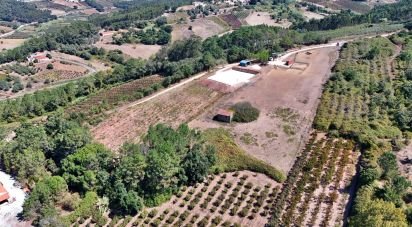 Quinta rurale T0 à Alvorninha de 23 495 m²