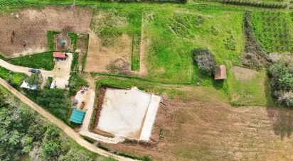 Quinta rurale T0 à Alvorninha de 23 495 m²