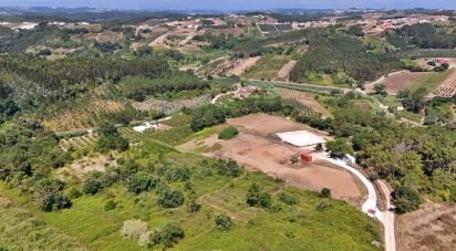Quinta rurale T0 à Alvorninha de 23 495 m²