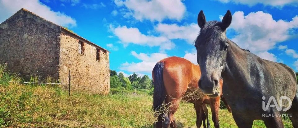 Quinta rurale T0 à Alvorninha de 23 495 m²