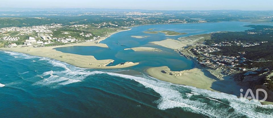 Quinta rurale T0 à Alvorninha de 23 495 m²