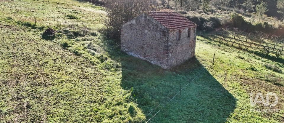 Quinta rurale T0 à Alvorninha de 23 495 m²