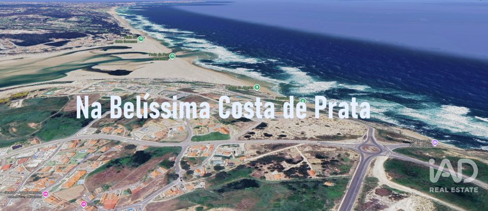 Quinta rurale T0 à Alvorninha de 23 495 m²