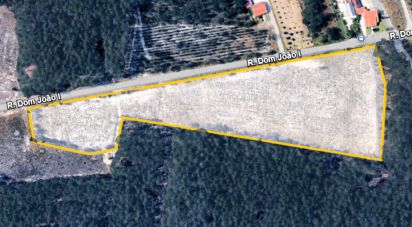 Terrain agricole à Pataias e Martingança de 27 108 m²