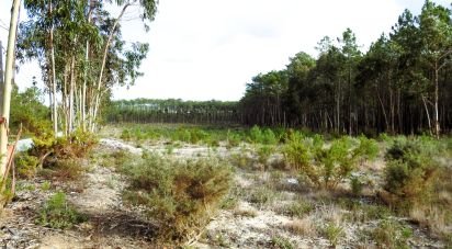 Terrain agricole à Pataias e Martingança de 27 108 m²